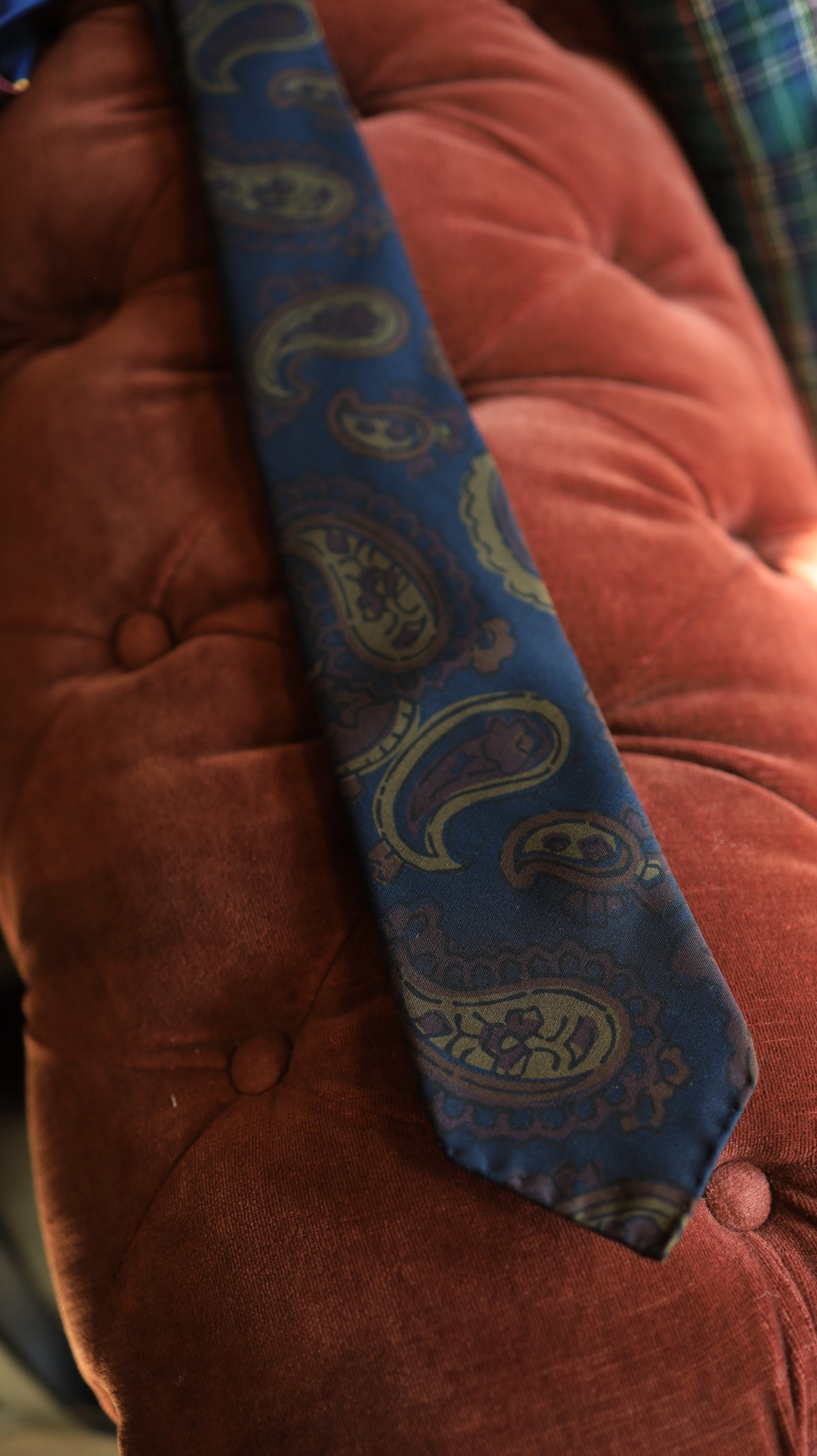Bold Pasley